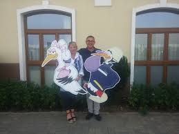 Check spelling or type a new query. Rentastorch Home