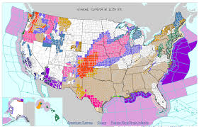 Image result for Wind Chill 2024 TX