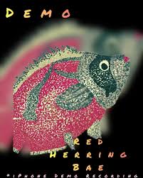 Red Herring Bae 💿 🪩 The Red Herring: Is it really a distraction? Or is it  something more? (Eye-Candy as Food for Thought: Like a disco ball for your  eyeballs, shining brighter than your future!)