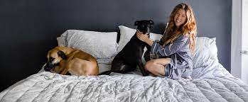 Sleeping With Your Dog Is A Bigger Deal Than You Might Realize Lull