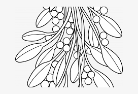 Rate coloring sheet 0 stars. Christmas Coloring Pages Black And White With Mistletoe Mistletoe Line Art Free Transparent Png Download Pngkey