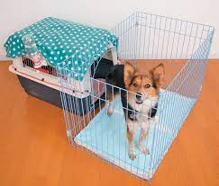 獣医師が教える 室内犬のケージ飼いのメリットや留守番のコツなど いぬのきもちweb magazine 犬ケージ 犬のケージアイデア 犬