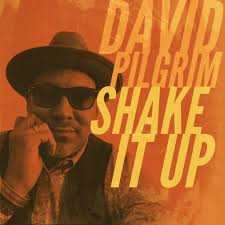 About — davidpilgrimislandsoul.com