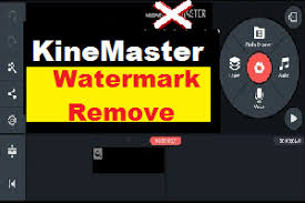 How To Remove Kinemaster Watermark How To Remove Watermark Chroma Key