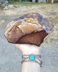 picture jasper biggs junction oregon rockhounds picture jasper jasper rock hounding pinterest