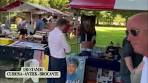 Video Landgoed Fair Kasteel Middachten de Steeg. Curiosa - Antiek ... - YouTube