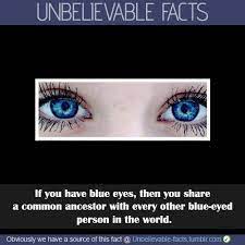New Research Shows That People With Blue Eyes Have A Single Common Ancestor A Team At The University Of Copenhage Eye Facts Unbelievable Facts Blue Eye Facts