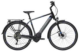 Pegasus E Bike Testbericht 10 2020 Rabatte Erfahrungen
