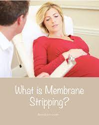 Pin On Pregnancy