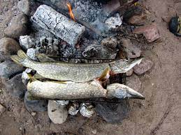 Roasted Northern Pike | Gourm(Eh)?