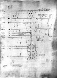 An Aspect of Renaissance Mathematics revealed in a Study of the Theory of  Human Proportion