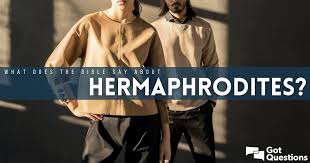 The bible does not start off with the creation of a special or privileged race of people. What Does The Bible Say About Hermaphrodites Gotquestions Org