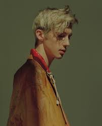 Troye sivan lyrics with translations: Troye Sivan Is The Perfect Pop Star For 2018 Time