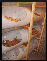 Edward Drumheller (e_drumheller)