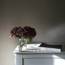 Learn how to dry hydrangeas to retain their color. How To Dry Hydrangeas The Good Florist