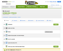 Godaddy Domains And Hosting