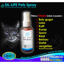 Apabila kulitnya mudah kering meskipun telah diobati, maka kucing tersebut bisa saja terkena penyakit kulit. Pa Sil Life Pets Spray 60ml Anjing Kucing Cat Dog Pet Untuk Kurap Kudis Sporo Gatal Rash Luka Kulit Kulat Fungus 40ppm Shopee Malaysia