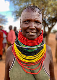 Conflict, climate change, food security, and mobility in the Karamoja  Cluster