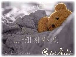 Du Mir Auch Ich Knuddel Und Kusse Dich Aus Der Ferne Liebling Fuhl Dich Umarmt Dai Gute Nacht Schatz Hab Dich Lieb Und Vermisse Dich Liebe Gute Nacht Grusse