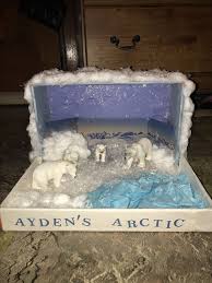 Tundra Biome In A Box Project Arctic Diorama With Images Habitats Projects Bear Habitat Diorama Kids
