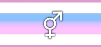 Al género no binario, también se le conoce como genderqueer. Entre Los Participantes De La Asamblea Sinodal Alemana Figuran 70 Mujeres 159 Hombres Y Una