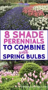 Gardeners often wonder what to do with spring flower bulbs after. Spring Flower Combinations 8 Beautiful Shade Perennials To Combine With Spring Bulbs Gardening From House To Home Shade Perennials Spring Bulbs Garden Garden Bulbs