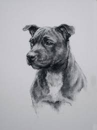 Staffordshire Bull Terrier Dog Print Black White Art Dog Etsy Dog Drawing Pitbull Art Bull Terrier Tattoo