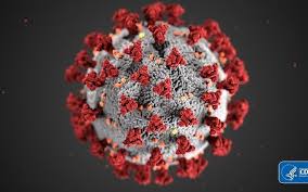 Get the news and details on coronavirus in russia, where people could now face up to seven years in prison for violating quarantine rules. Corona Virus News Update Fh Salzburg
