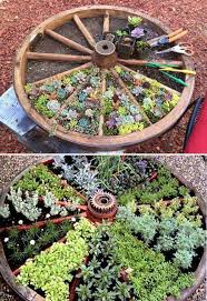 Water and wagon wheel are the best combination. Recycle An Old Wagon Wheel For A Divided Succulents Bed Diy Garden Bed Diy Planters Diy Garden Decor