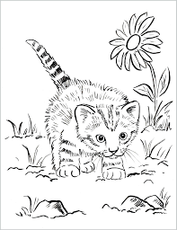 What colors will you use to make this adorable little kitten colorful? Cute Kittens Coloring Pages Coloring Home