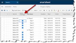 Smartsheet Multi Project Gantt Chart Onepager Express