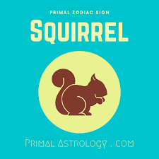 Primal Zodiac Sign Of Squirrel Only At Primalastrology Com Zodiac Signs Primal Squirrel