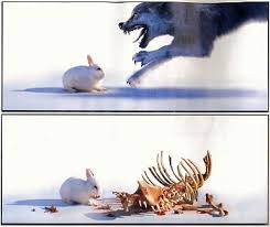 Double trick by yuni on deviantart | gymnastics. Killer Rabbit All The Tropes