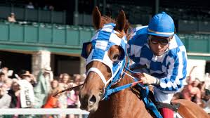 I absolutely love this movie, secretariat was one of the greatest race horses to have ever lived. Movie Review Secretariat It S About A Horse So Of Course It S A Winner Npr