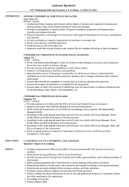 Responsibilities will include crafting investment packages, managing client expectations, and transactions, and achieving our clients'. Commercial Portfolio Manager Resume Samples Velvet Jobs