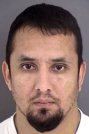 Authorities report 11 arrests