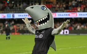 Get all the live stats, scores & commentary for the sharks v stormers game in the the rugbypass match centre. The Sharks Expect Tough Game Against Stormers On Saturday Highway Mail