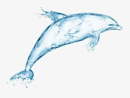 Water Dolphins Water Dolphin Creative Water Png Image Delfiny Oboi Volny