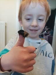 this little fella was