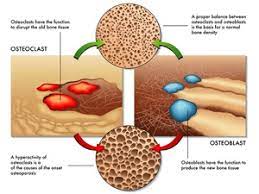 Taking large amounts of folate can correct the anemia, making you think that you are good to go. Boost Your Bone Health With Calcium And Vitamin D Supplements Calcium And Vitamin D Play An Important Role In Building And Maintain Health Strong Bones