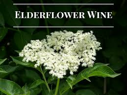 Maybe you would like to learn more about one of these? Elderflower Wine Recipe Light To Medium Bodied