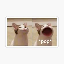 On december 13, doge was named the top meme of 2013 by know your meme. Funny Pop Cat Meme Photographic Print By Quackynaut Redbubble