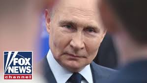 Mark Arballo Reining Horses