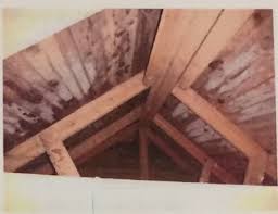 Image result for site:byggahus.se påväxt