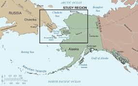 bering strait