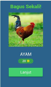 Overall rating of tebak nama hewan is 0. Tebak Nama Hewan Game Indonesia For Android Apk Download