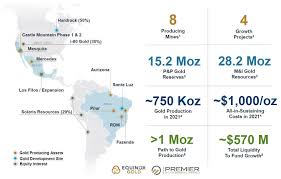 The consolidated worldwide structures, holding groups and networks, created a highly profitable multinational group. Equinox Gold To Acquire Premier Gold In A Friendly Acquisition Eresearch
