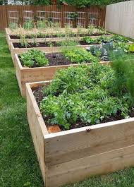 Raised Garden Beds Vegetable Garden Design Garden Planter Boxes Diy Raised Garden