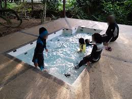 Villa d'lina homestay janda baik med privat pool. Dunia Anakku Percutian Best Di Janda Baik Bersama Anak Anak Fifty4ferns