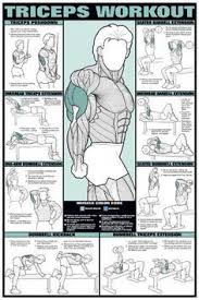 triceps workout professional fitness gym wall chart poster